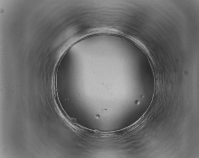 X0000057091391200509301539