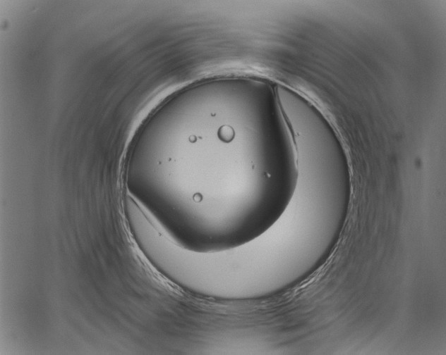 X0000057091392200509301539