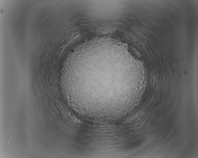 X0000057091393200509301539