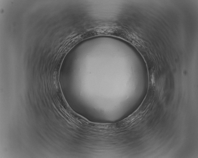 X0000057091396200509301539