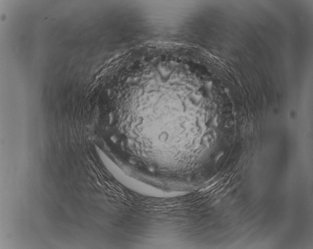 X0000057091397200509301539