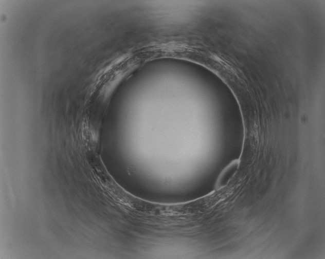 X0000057091398200509301539