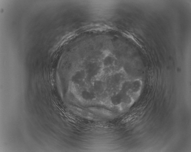 X0000057091399200509301539