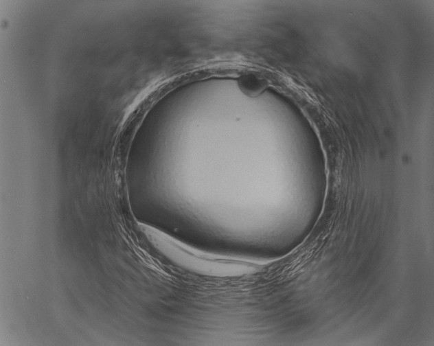 X0000057091400200509301539