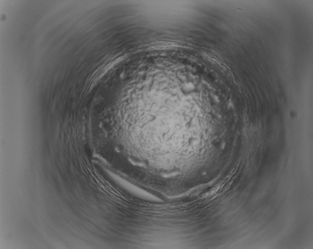 X0000057091401200509301539