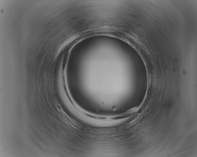 X0000057091402200509301539