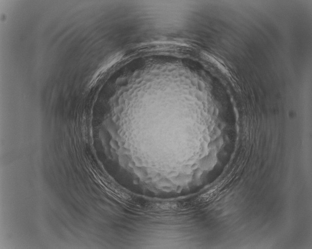 X0000057091403200509301539