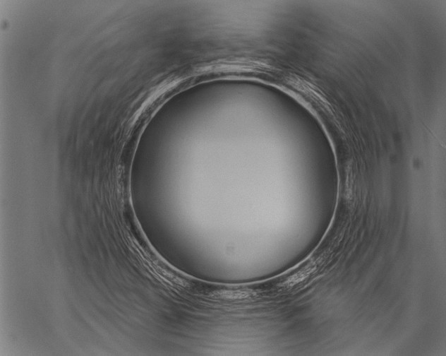 X0000057091404200509301539