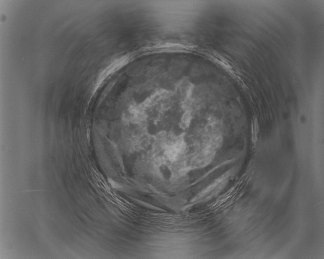 X0000057091405200509301539