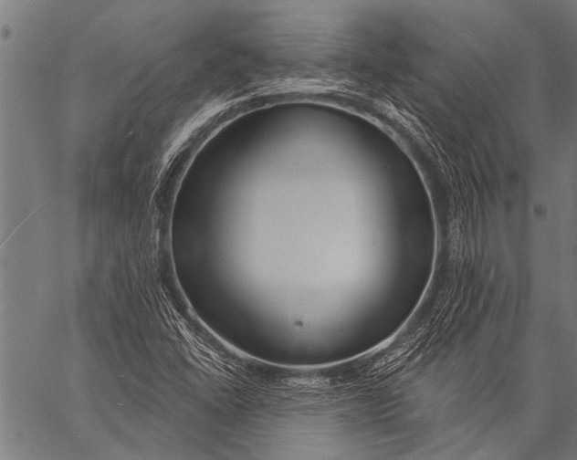 X0000057091406200509301539