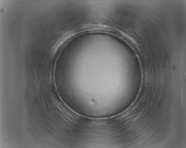 X0000057091407200509301539