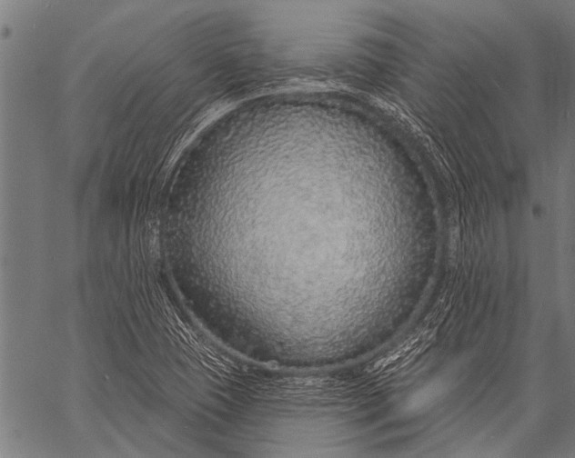 X0000057091409200509301539