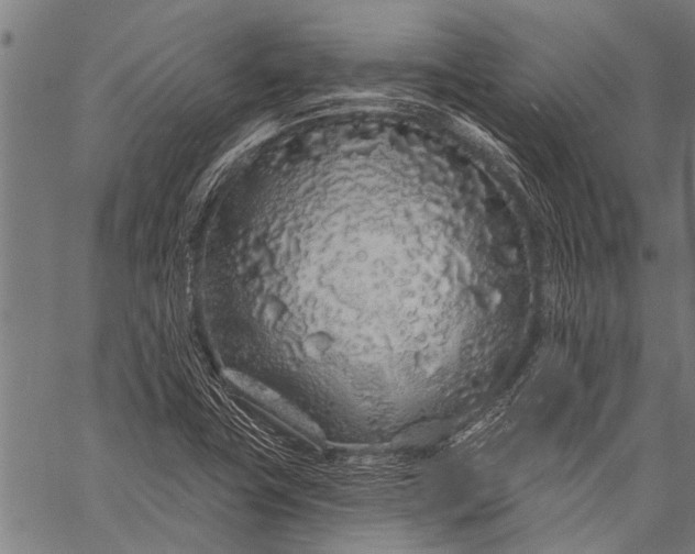 X0000057091411200509301539