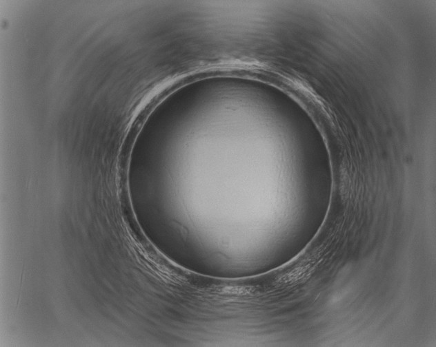 X0000057091412200509301539