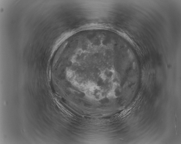 X0000057091413200509301539