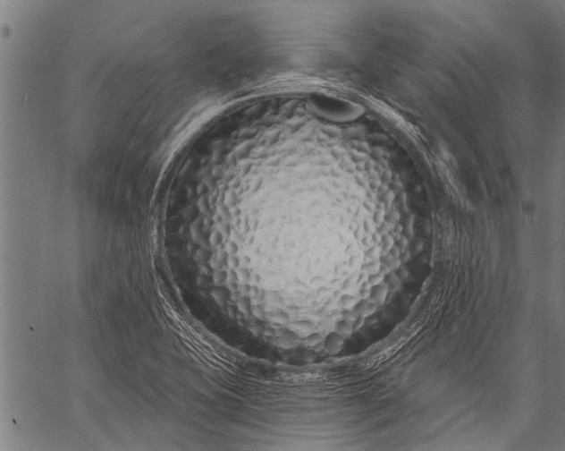 X0000057091415200509301539