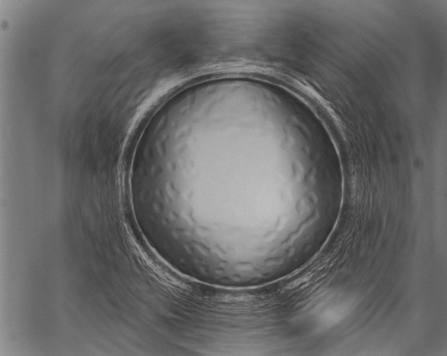 X0000057091416200509301539