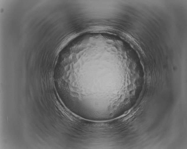 X0000057091417200509301539