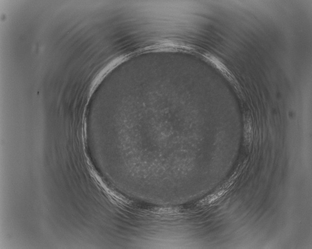 X0000057091418200509301539