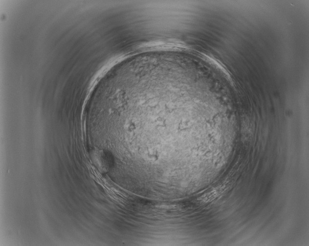 X0000057091419200509301539