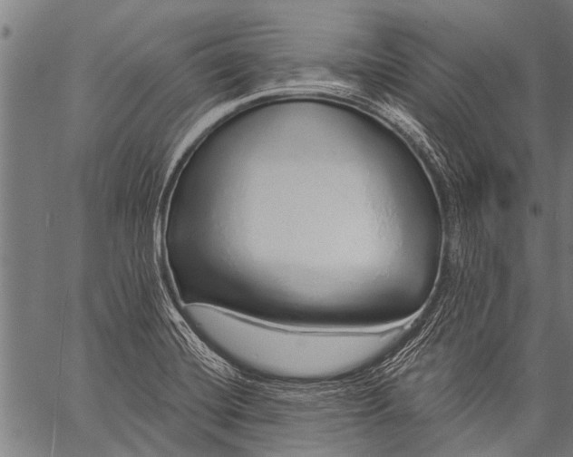 X0000057091420200509301539