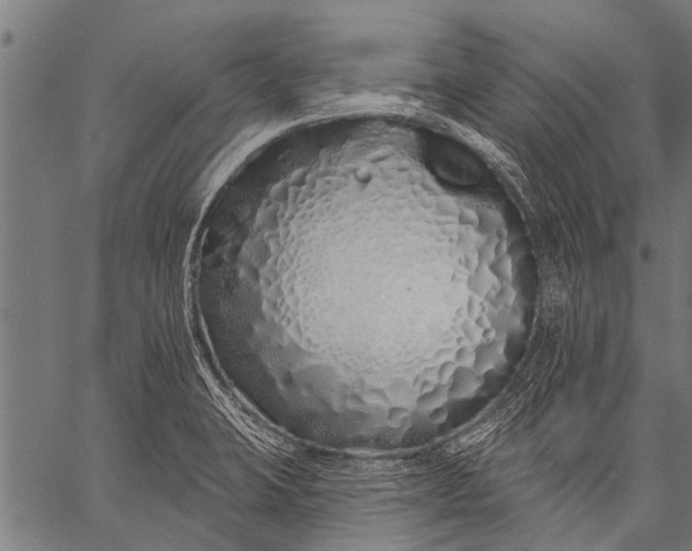 X0000057091423200509301539