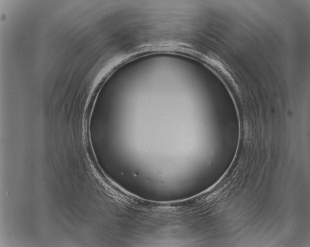 X0000057091424200509301539