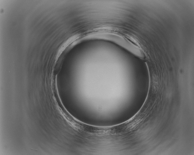 X0000057091426200509301539