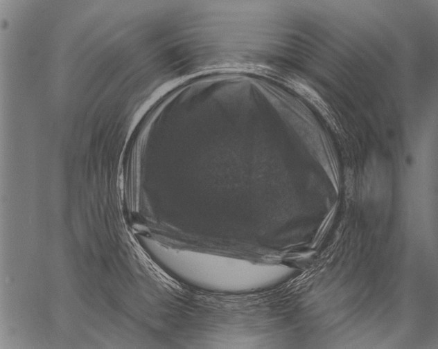 X0000057091428200509301539