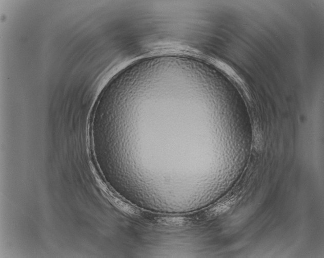 X0000057091431200509301539