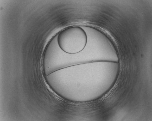 X0000057091432200509301539