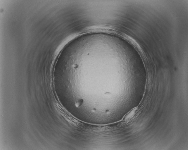 X0000057091435200509301539