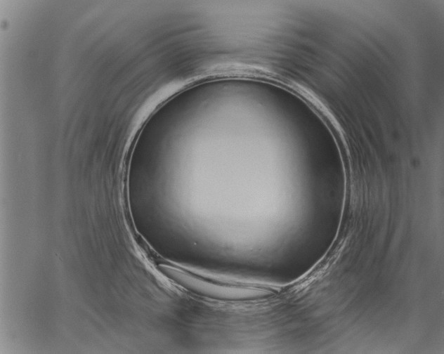 X0000057091437200509301539