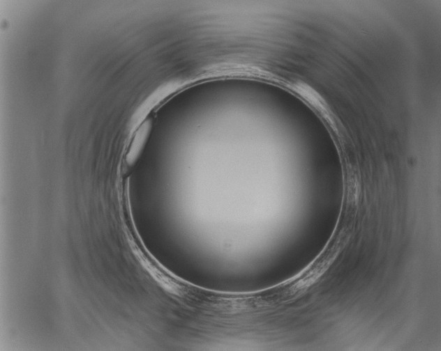 X0000057091438200509301539