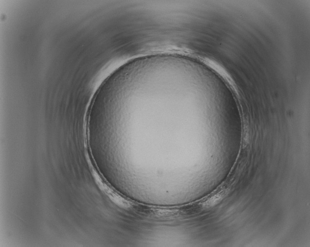 X0000057091439200509301539