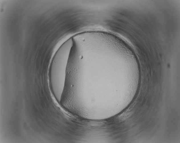 X0000057091440200509301539