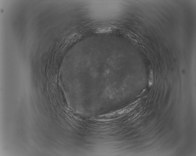 X0000057091441200509301539