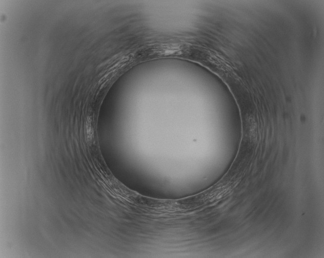 X0000057091442200509301539