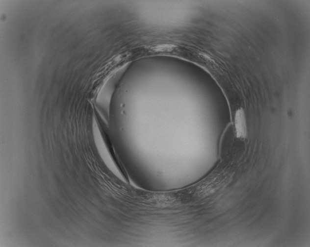 X0000057091443200509301539