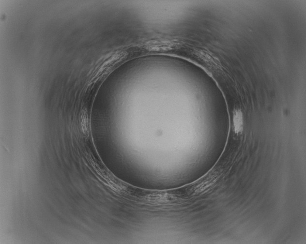 X0000057091444200509301539