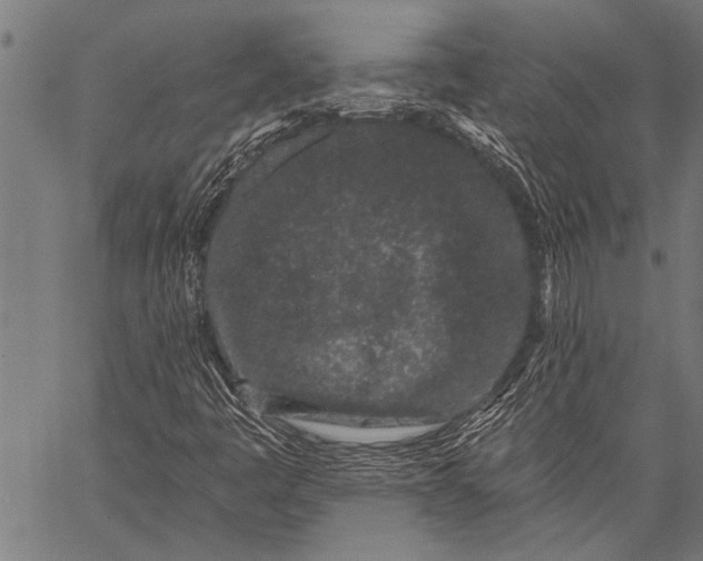 X0000057091445200509301539