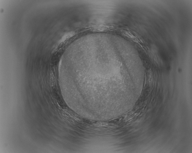 X0000057091446200509301539