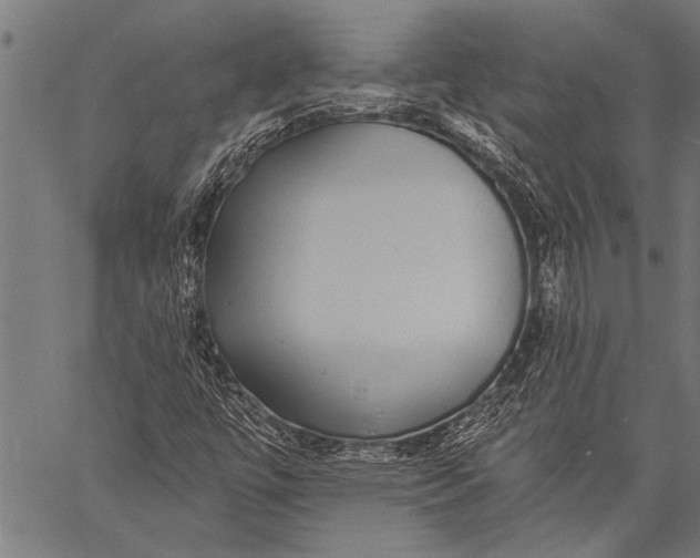 X0000057091447200509301539