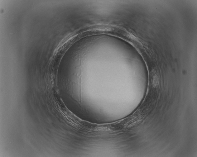 X0000057091448200509301539