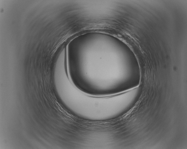 X0000057091449200509301539