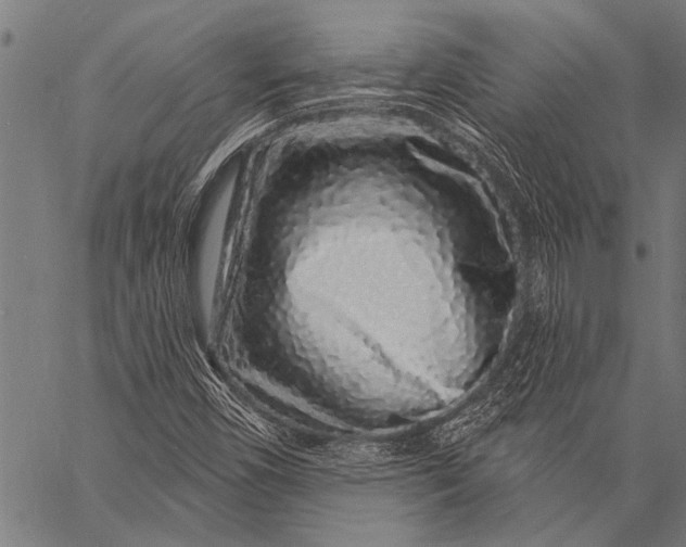 X0000057091450200509301539