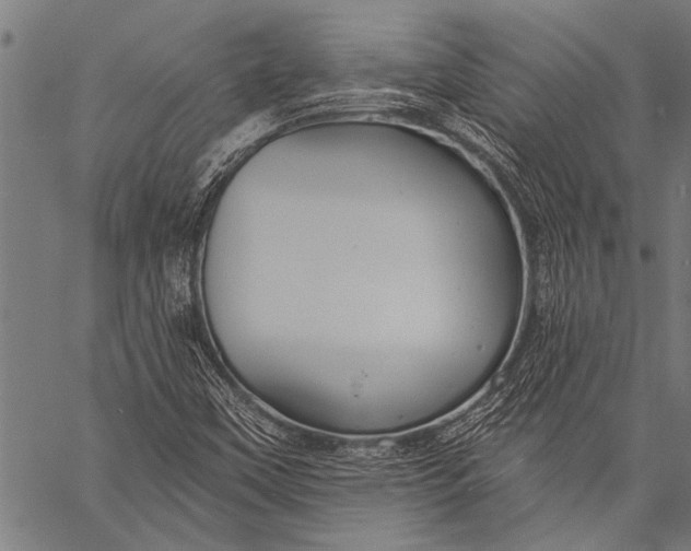 X0000057091451200509301538