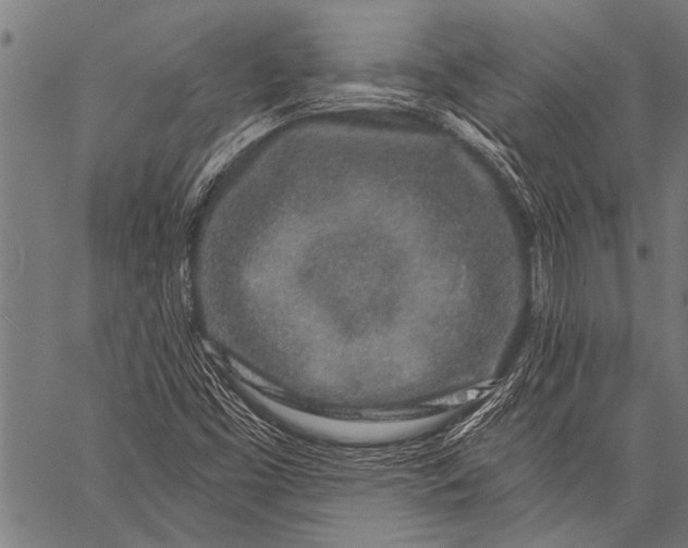 X0000057091453200509301538