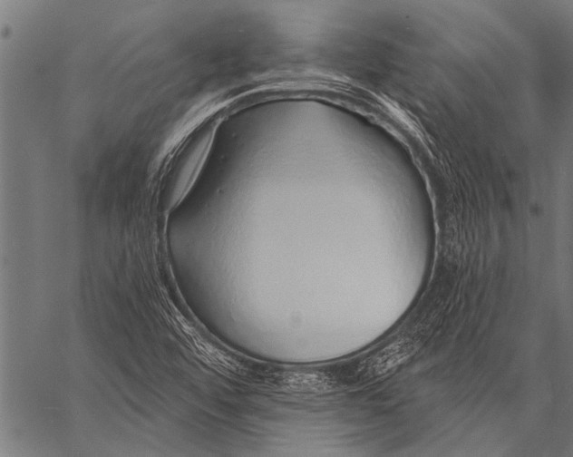 X0000057091456200509301538