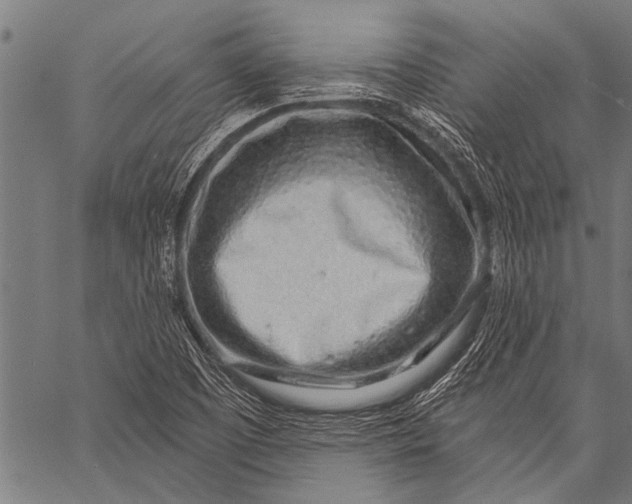 X0000057091457200509301538